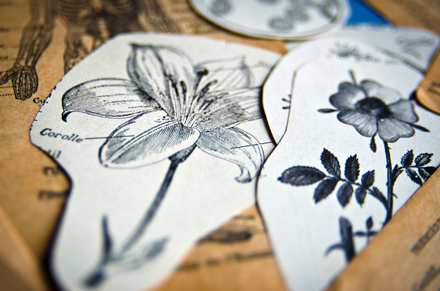 Atelier assuna magnet fleurs