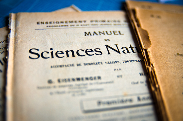 Atelier assuna magnets sciences naturelles