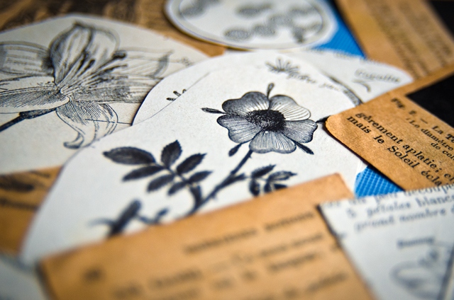 Atelier assuna magnets fleurs