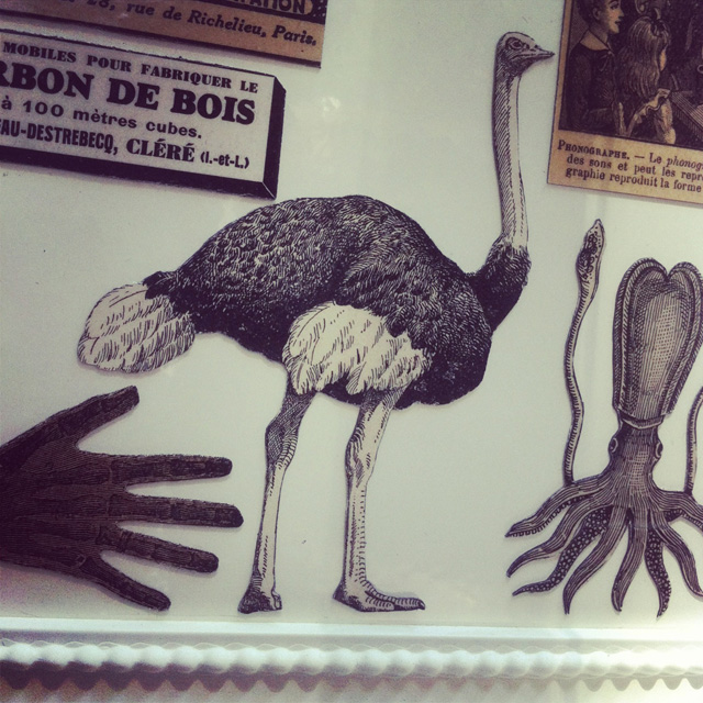 Magnets vintage animaux sur Instagram Magnets vintage animaux sur Instagram